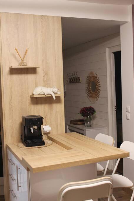 Chartres Hyper Centre Bel Appartement Renove מראה חיצוני תמונה